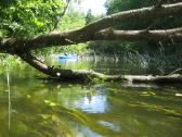 Baidarių nuoma: Šventoji, Jara, Vyžuona - nuotraukos Nr. 3