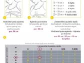 Medela Maternity and Nursing Bra liemenėlė M dydis - nuotraukos Nr. 11