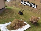 Aeratoriu skarifikatoriaus nuoma, šakų smulkintuva - nuotraukos Nr. 21
