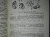 Фитопатология Дементьева М. И. - nuotraukos Nr. 5