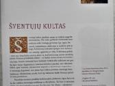 -Lietuvos šventieji globėjai 2010 m / 210 psl - nuotraukos Nr. 8