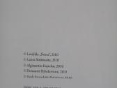 -Lietuvos šventieji globėjai 2010 m / 210 psl - nuotraukos Nr. 13