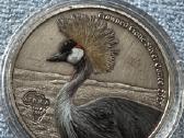 Moneta Ghana 2017m. 5 cedis, cu-ni