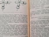 Organinės chemijos dėstymas - nuotraukos Nr. 5