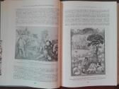 831. История Крестьянсева В Европе - nuotraukos Nr. 8
