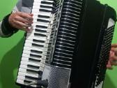 Hohner Tango 3, 96bosu, Hohner Electravoxn - nuotraukos Nr. 4