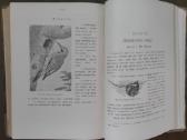 Дома, Въ Школђ, Въ Лђсу, Въ Ролђ 1914 m. - nuotraukos Nr. 5