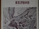 Атлас Развитие Черепных Нервов