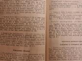 Diktantai VIII - IX klasei - nuotraukos Nr. 4