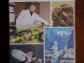 Žurnalų Mokslas ir gyvenimas 1981–90 m. komplektai - nuotraukos Nr. 8