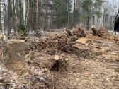 Ekskavatorius krautuvas račiokas - nuotraukos Nr. 6