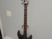 Bosine gitara Peavey Dyna. Lakland Skyline Deluxe - nuotraukos Nr. 2
