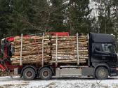 Malkos pigiau! Beržas,uosis,ąžuolas,juodalksnis. - nuotraukos Nr. 20