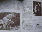 Lietuvos Fotografijos Istorija 1854-1940 - nuotraukos Nr. 9