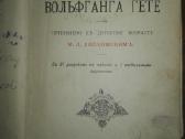 Antikvarinė Рейнеке-лисъ Вольганга Гёте 1889 m.