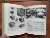 Lietuvos Tsr istorijos-etnografijos muziejus" 1970 - nuotraukos Nr. 9