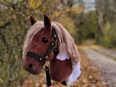Hobby horse žaisliniai arkliukai - nuotraukos Nr. 14