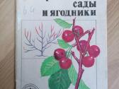 Daug knygu apie gėles, vaistinius augalus,sveikata - nuotraukos Nr. 25