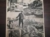 Ww2 plakatas - nuotraukos Nr. 2