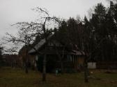 Šienavimas, medžių genėjimas, gyvatvorių karpymas - nuotraukos Nr. 31