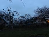 Šienavimas, medžių genėjimas, gyvatvorių karpymas - nuotraukos Nr. 32