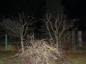 Šienavimas, medžių genėjimas, gyvatvorių karpymas - nuotraukos Nr. 33