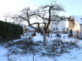Šienavimas, medžių genėjimas, gyvatvorių karpymas - nuotraukos Nr. 11