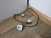 Gartraukio lemputės - nuotraukos Nr. 2