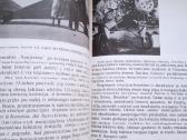 Knyga " Darius ir Girėnas" - nuotraukos Nr. 4