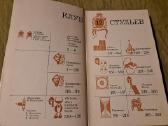 12 kėdžių klubas - nuotraukos Nr. 2