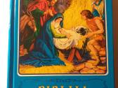Įvairios iliustruotos Biblijos vaikams
