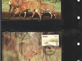 Wwf albumai - nuotraukos Nr. 2