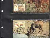 Wwf albumai - nuotraukos Nr. 3