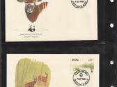 Wwf albumai - nuotraukos Nr. 4