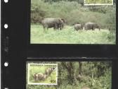 Wwf albumai - nuotraukos Nr. 7
