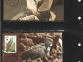 Wwf albumai - nuotraukos Nr. 10