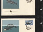 Wwf albumai - nuotraukos Nr. 16