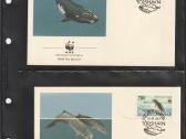 Wwf albumai - nuotraukos Nr. 17