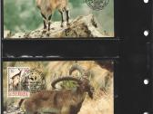 Wwf albumai - nuotraukos Nr. 18