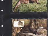 Wwf albumai - nuotraukos Nr. 27