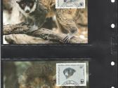 Wwf albumai - nuotraukos Nr. 30