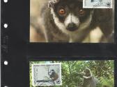 Wwf albumai - nuotraukos Nr. 31