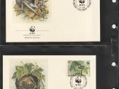 Wwf albumai - nuotraukos Nr. 36