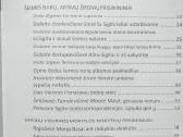 Vaikiškom rankom išskleistos burės (apie S. Gedą) - nuotraukos Nr. 3