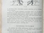 Lietuvių liaudies žaidimai ir pramogos (1956) - nuotraukos Nr. 2