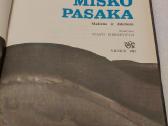Miško pasaka - nuotraukos Nr. 2