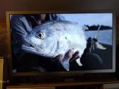3D LCD 42 inch Televizorius Philips 42pfl7606h/12 - nuotraukos Nr. 12