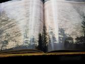 Fotoalbumas - Knyga Music of the Russian Forest - nuotraukos Nr. 8