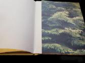 Fotoalbumas - Knyga Music of the Russian Forest - nuotraukos Nr. 11
