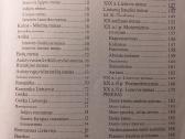 Meno istorijos ir dailės pažinimo pagrindai - nuotraukos Nr. 3